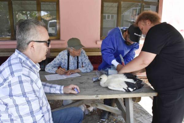 Yaren leyleğin ‘Beş numara’ isimli yavrusundan sinyal Ürdün’den geldi