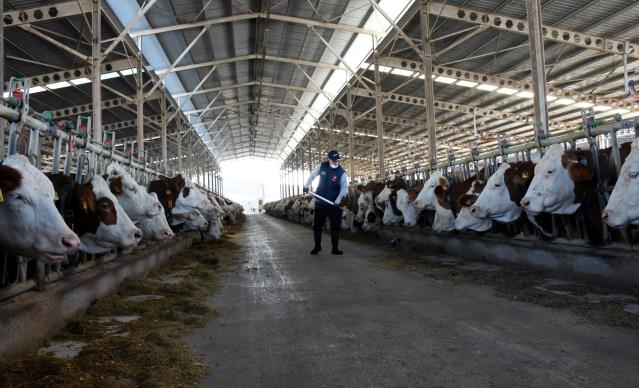 Bursa’da üretilen sütün 4’te biri hastalıktan ari işletmelerden elde ediliyor