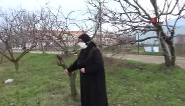 Bursa’da Yaşlı Kadının Tapulu Arazisi Emlakçı Tarafından İhlal Edildi