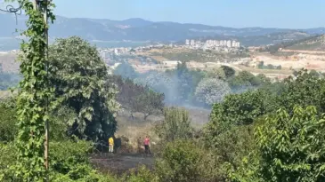 Cumalıkızık’taki Orman Yangını Söndürüldü