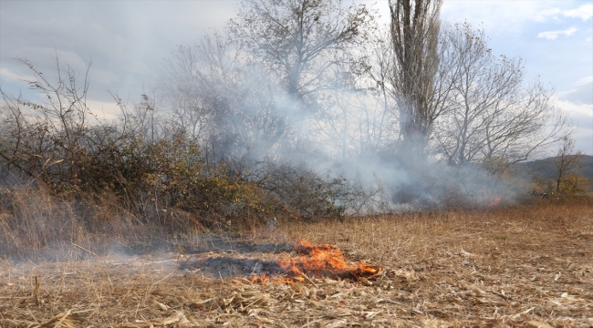 Bursa’da ağaçlık alanda çıkan yangın söndürüldü